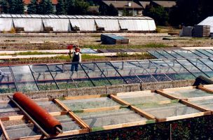 Staudengärtnerei 1983