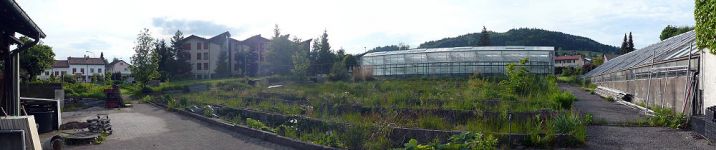 Im Farnen - 2011 vor Baubeginn 4